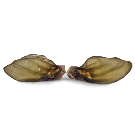 Oreille de bœuf