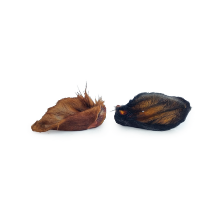 Oreille de bœuf avec poils