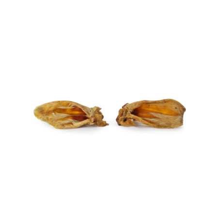 Oreille d'agneau avec poils