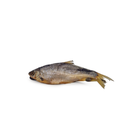 Gardon