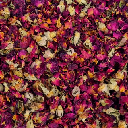 Fleurs de rose