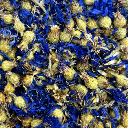 Fleurs de bleuets