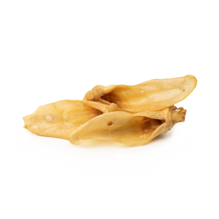 Oreille de chèvre