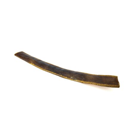 Peau de sanglier 50cm