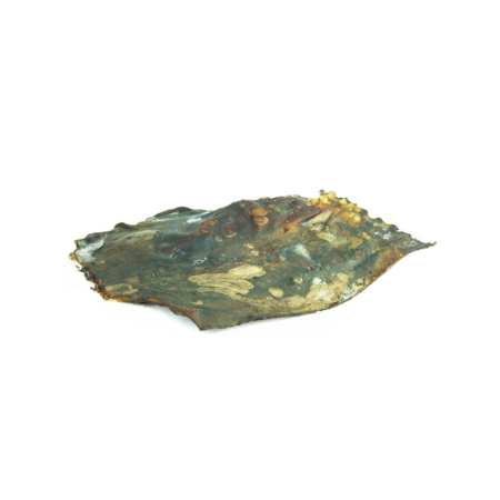 Plaque de cerf