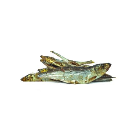 Sprats de la Baltique