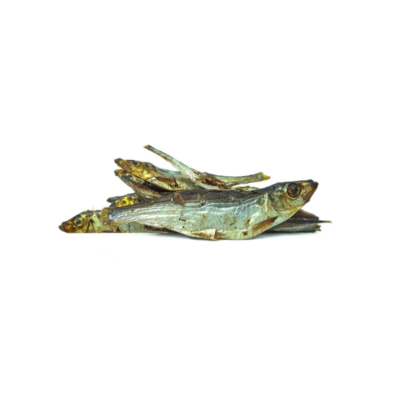 Sprats de la Baltique