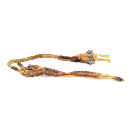 Tendon d'Achille de cerf