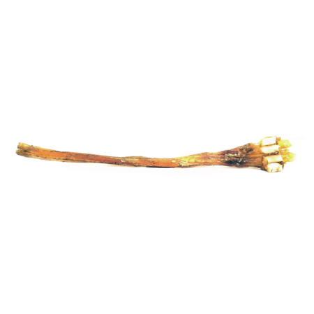 Tendon d'Achille de cerf XL