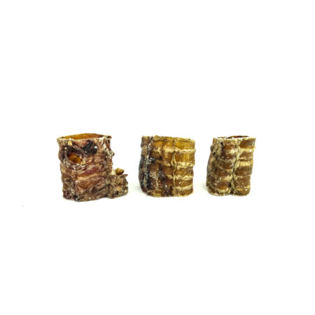 Trachée de bœuf 5cm
