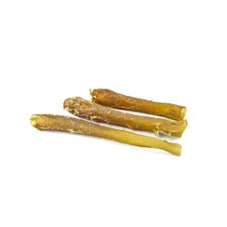 Aorte de bœuf