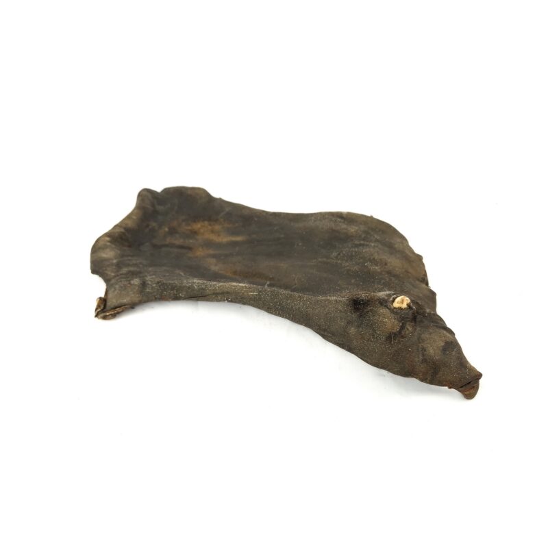 Plaque de cheval