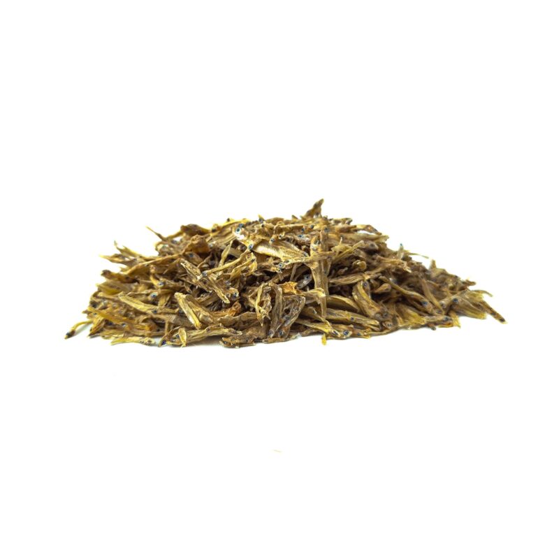 Mini Anchois