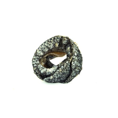 Donut peau de saumon