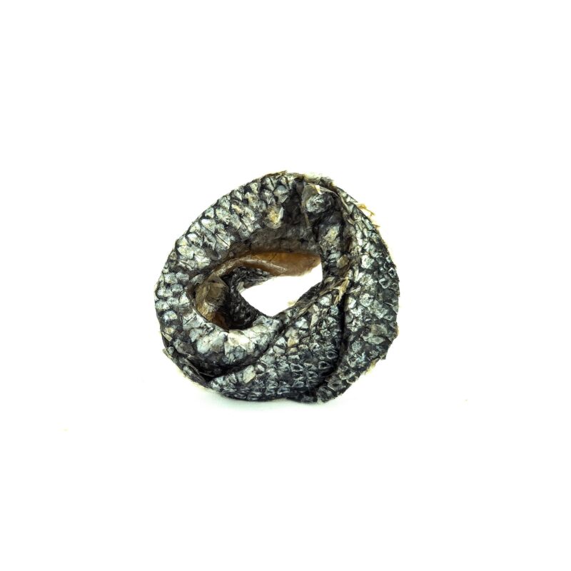 Donut peau de saumon