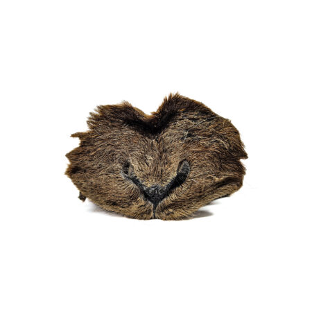 Museau d'agneau avec poils