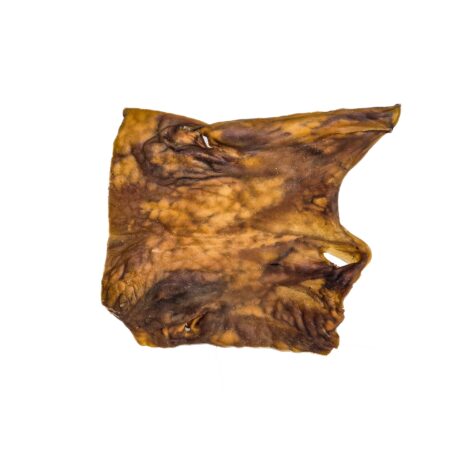 Plaque de chameau XL